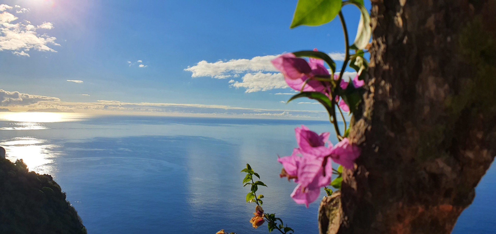 Madeira Wetter im Februar Was Sie erwarten können
